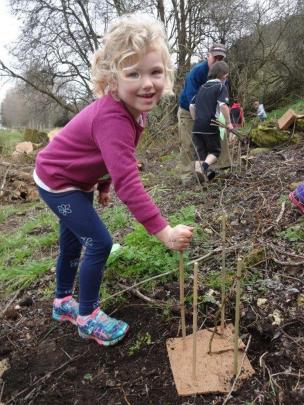 Alice Ransby (5), of Kakanui, helps  plant a native tree at Clark’s Mill at Maheno yesterday to...