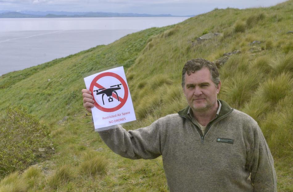 Department of Conservation ranger Lyndon Perriman holds a no-fly zone sign that has been installed after a drone crashed near an albatross  nesting site at Taiaroa Head last week. Photo Gerard O'Brien.