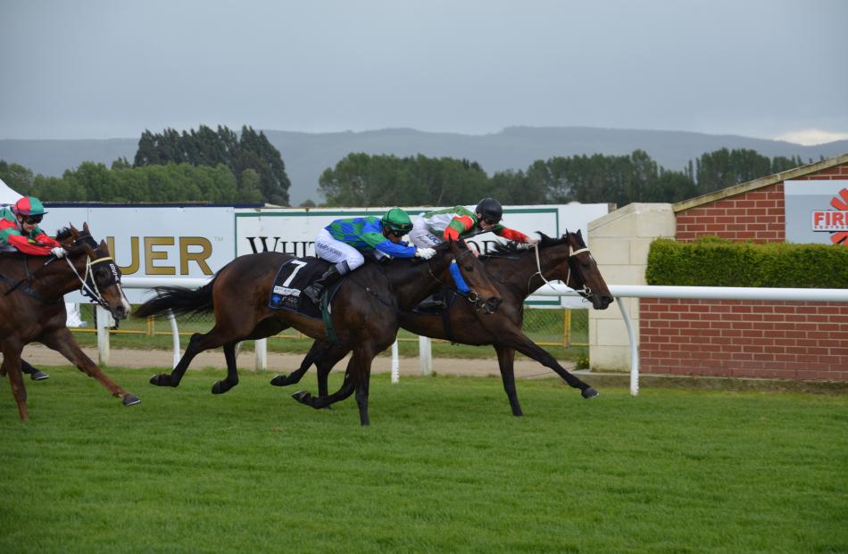 Serve De Aunt sneaks up the inside to beat She Rocks in the 1600m maiden at Wingatui yesterday.