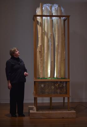 ‘‘Undreamed Of ... 50 years of the Frances Hodgkins Fellowship’’ curator Priscilla Pitts oversees the installation of recipients’ work, such as this Andrew Drummond sculpture at the Dunedin Public Art Gallery.  Photo by Gregor Richardson.