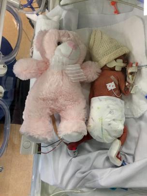 Hannah-Ruth Spence is dwarfed by her teddy bear at 1 week old. 