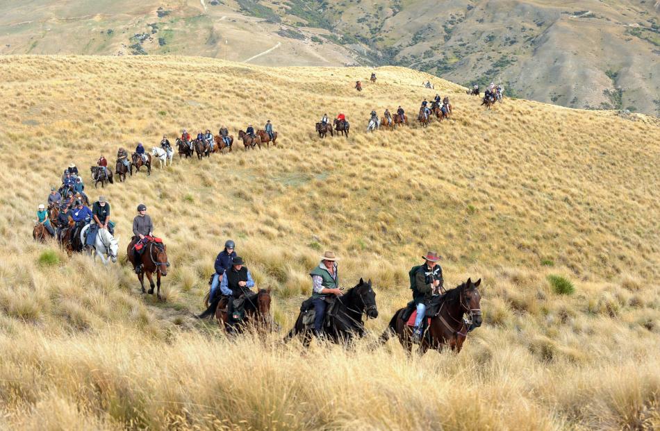 The Boundary Riders trail winds up through tussock in the Cardrona Valley in 2010.