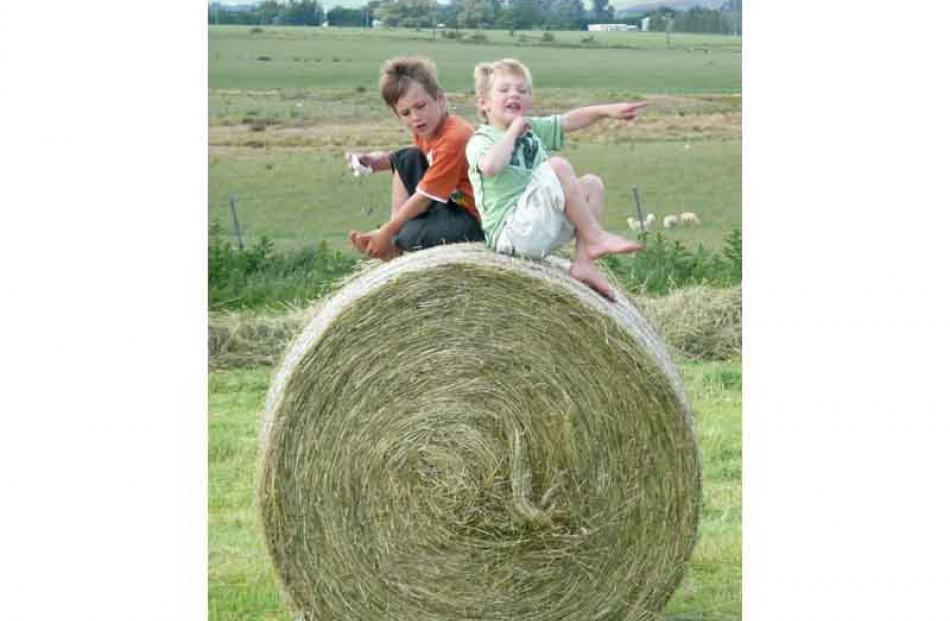 Max Robertson (7) and Joe Robertson (5) of Waikoikoi, West Otago help out with the hay baling....