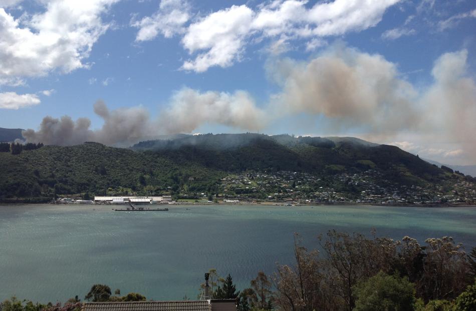 Smoke billowing over Ravensbourne hill, seen from Waverley. Photo: Sean Flaherty