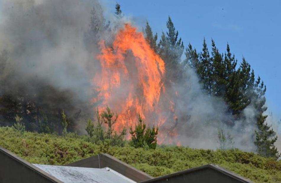 The flames of the large blaze burning on Signal Hill. Photo: Gerard O'Brien The flames of the large blaze burning on Signal Hill. Photo: Gerard O'Brien