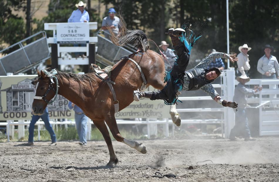 Cowboy Nathan Keown, of Gore, flies off his bronc during the Maniototo Rodeo open bareback division yesterday. Photos by Gregor Richardson.
