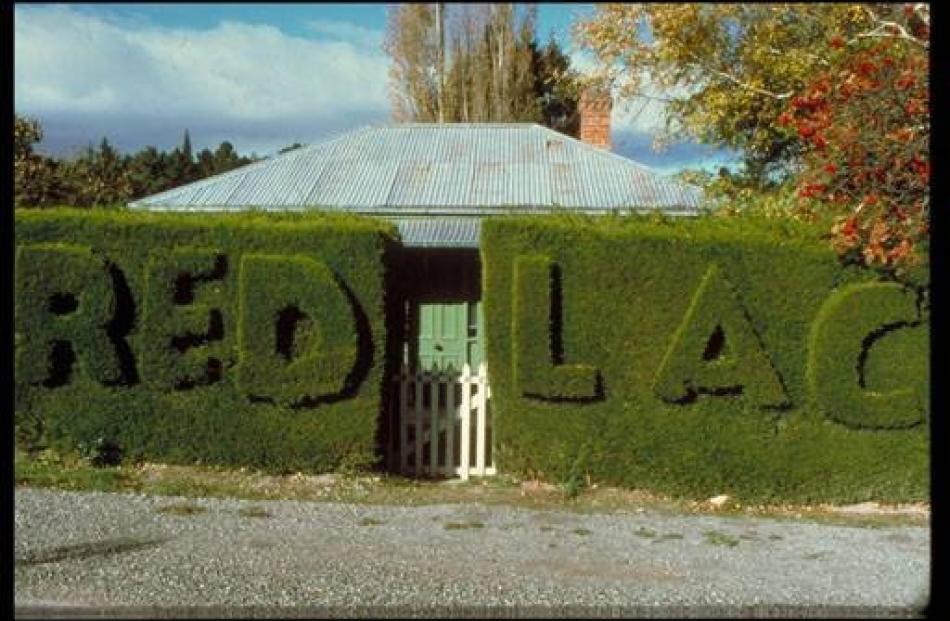 The Redlac (Calder spelled backwards) hedge in Naseby. Photo by Allan Steel.
