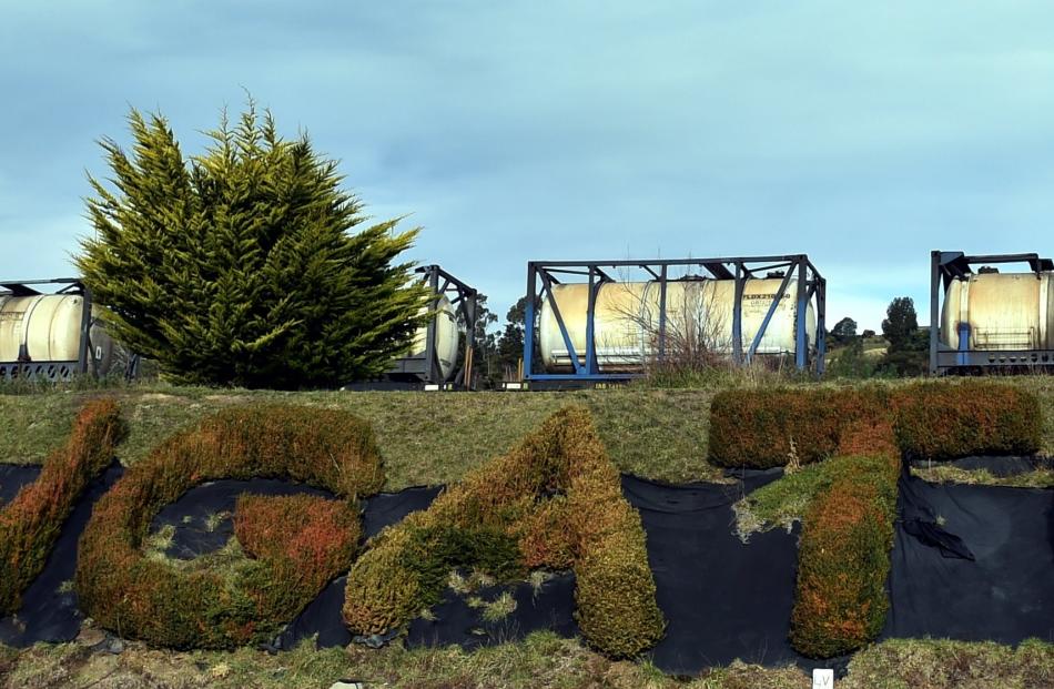 The Wingatui hedge sign in Gladstone Rd North, created by Lester Harvey. Photos by Peter McIntosh.