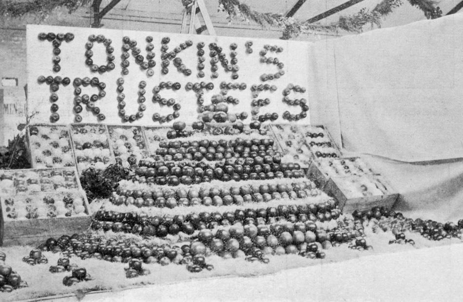 A display of Central Otago apples grown at the Treliske Orchard, in Ettrick, on display at the Otago A and P winter show in June 1915. Photos from Otago Witness.