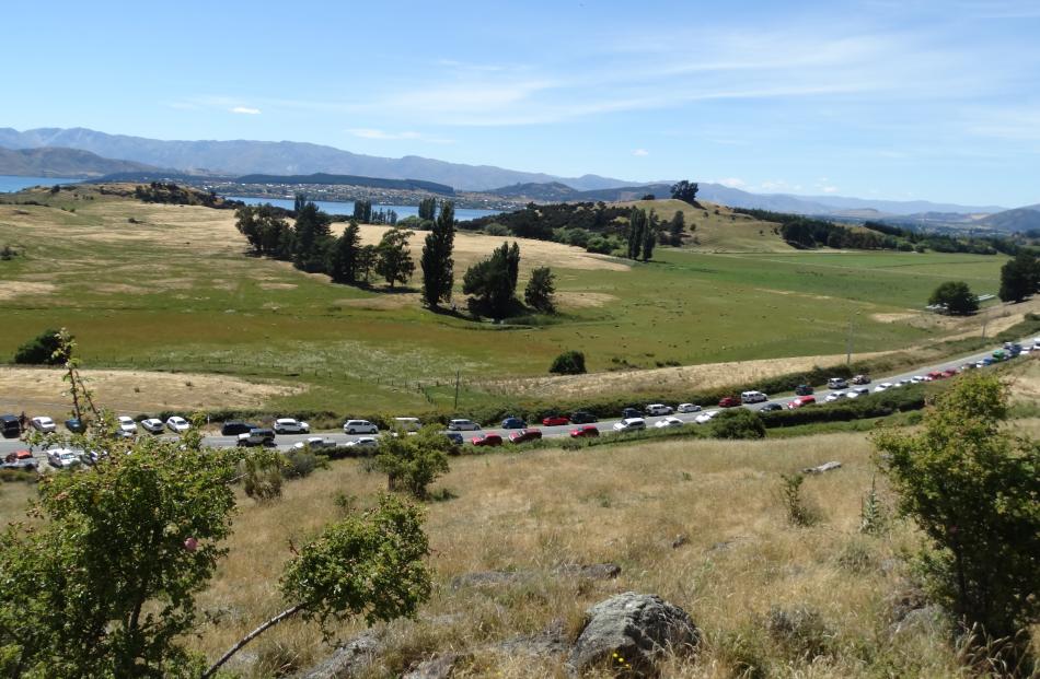 Cars parked along Mt Aspiring Road as both car parks were full for the start of Roys Peak track. Photos by Kerrie Waterworth.