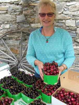 Robyn McFarlane, of McFarlane’s Orchard, on Ripponvale Road, has  cherries for sale. Photos: Pam...