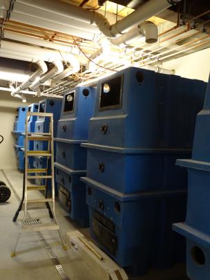 Some of the composting toilets which will be commissioned at Camp Glenorchy in February.  