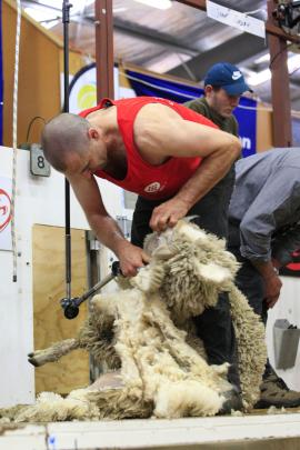 Shearing is a tough occupation and, for Nathan Stratford, it’s getting increasingly harder: ‘...
