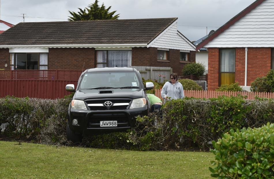 A Toyota ute came to rest in a hedge on Tedder St, St Kilda, after a collision yesterday. PHOTOS:...