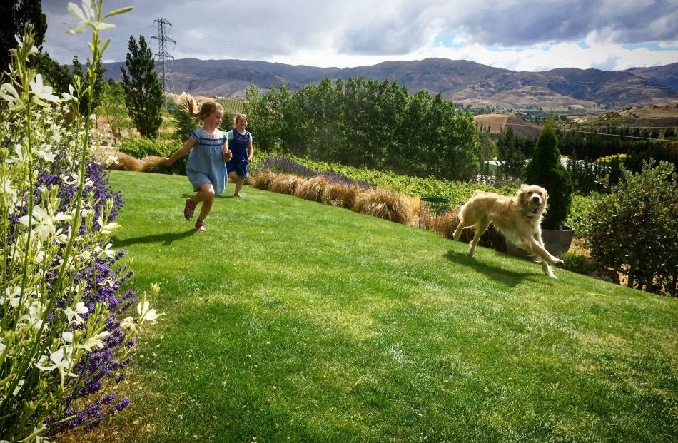 Lily (left) and Matilda Macleod run through Bannock Brae Estate at Bannockburn, with Baxter the dog. Photo by Ceri MacLeod.