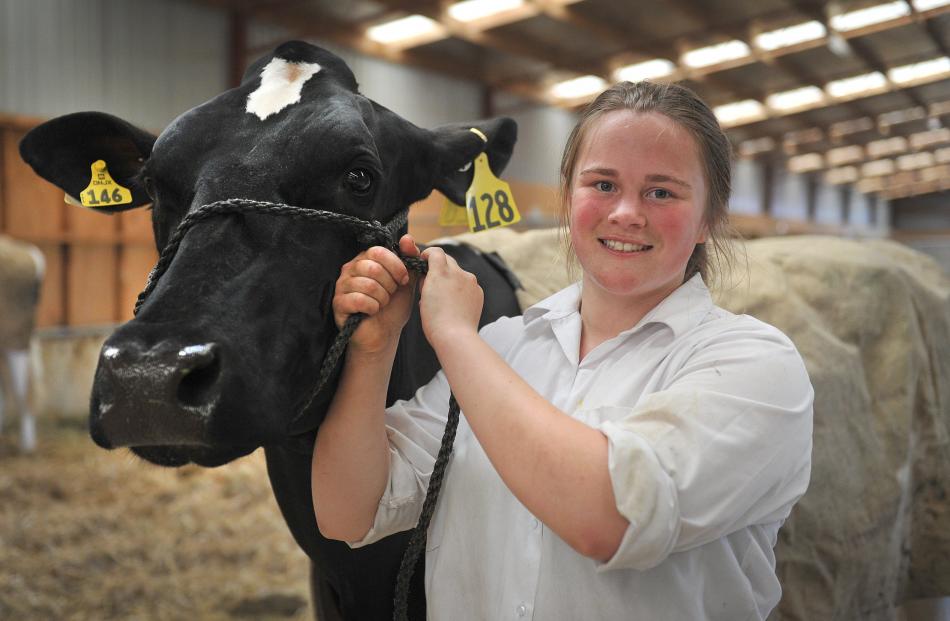 Teegan Hall (15), of Waianiwa, shows off her best in show award-winning Holstein Friesian cow.