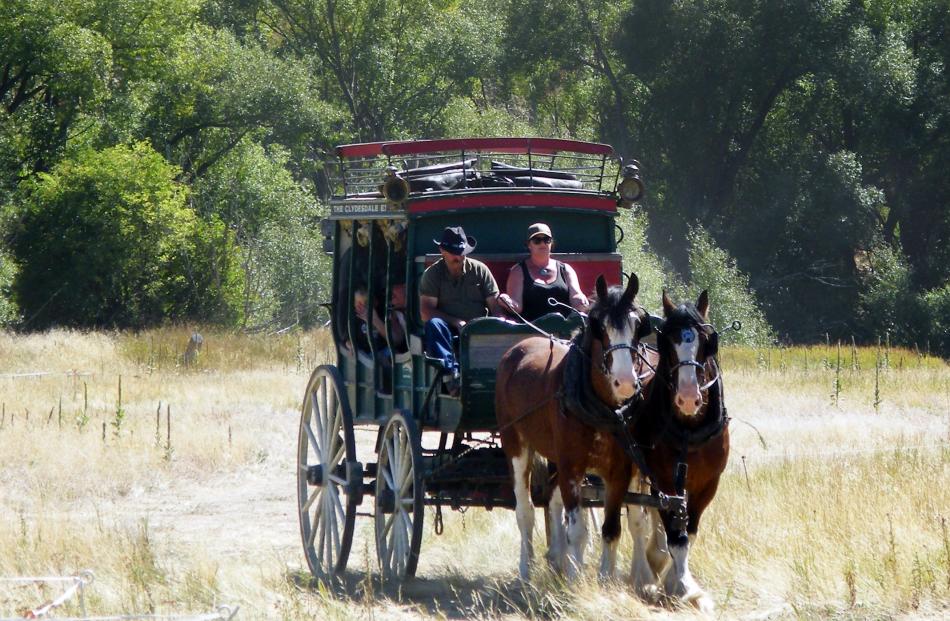 Driver Lester Rowntree (left, driving coach), of Otira, and Bex Sygrove, of Taieri, give visitors a campsite tour near Tarras during a rest day for the Goldfields Cavalcade Heavy Wagons Trail.