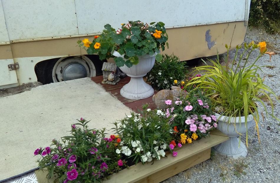Marilyn Muir, of Palmerston, has entered this little corner of a built-up area by the caravan...