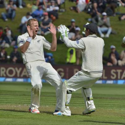 New Zealand bowler Neil Wagner celebrates a wicket with keeper 
BJ Watling.