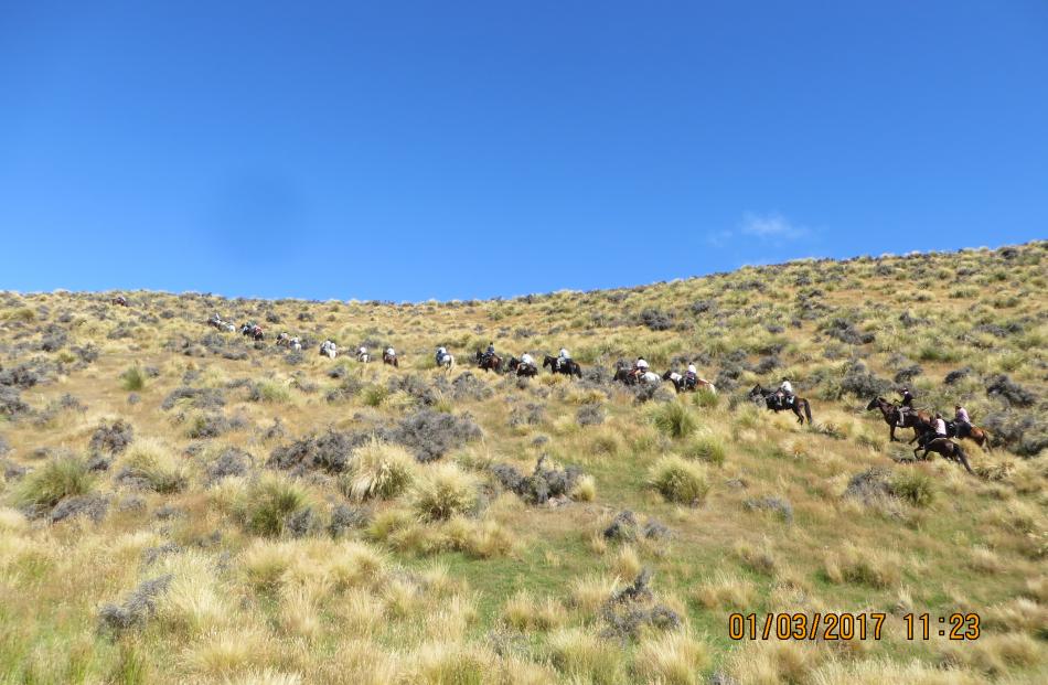 Riders get going for the 25th Goldfields Cavalcade in Otago, which started on February 26 and...