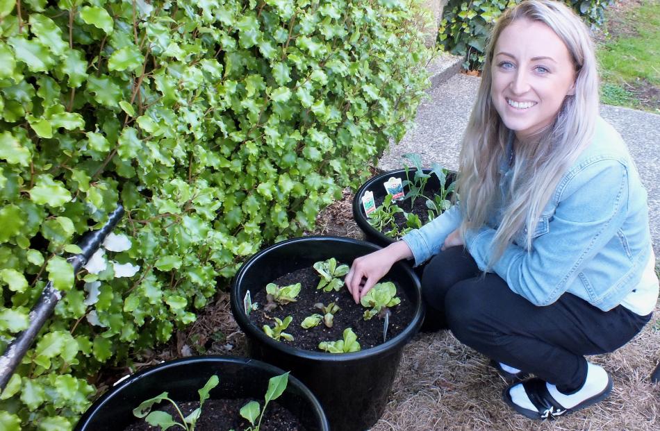 Jazz Rowe is encouraging her boys to garden. Photos: Gillian Vine.