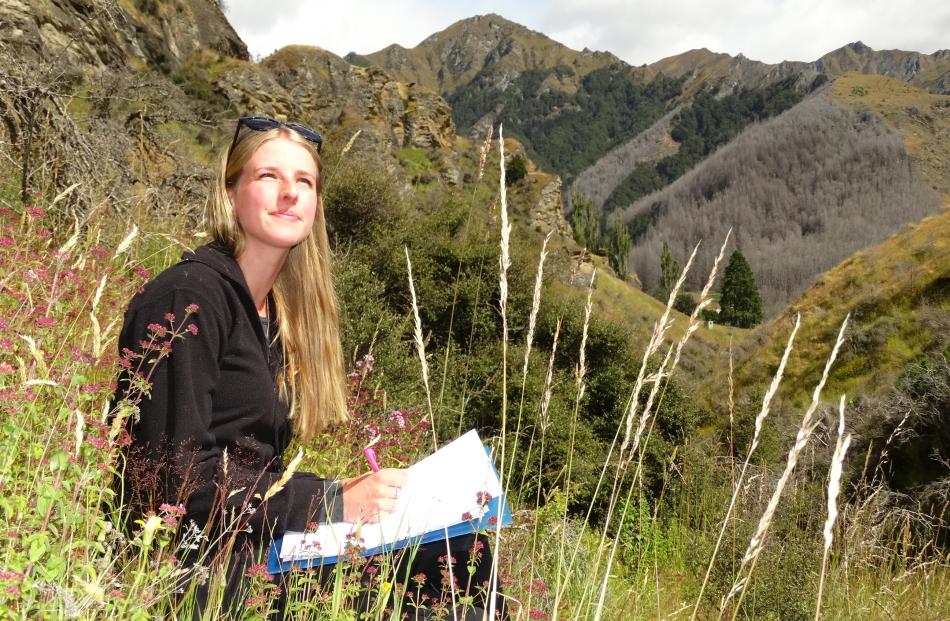 Skye Anderson takes a bird count on Coronet Peak Station in January. Photo: Guy Williams.