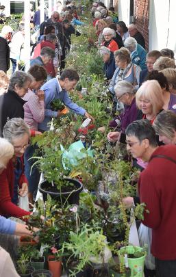 Gardening club members from across Otago inspect plants at a stall during the Kindred Group Day.