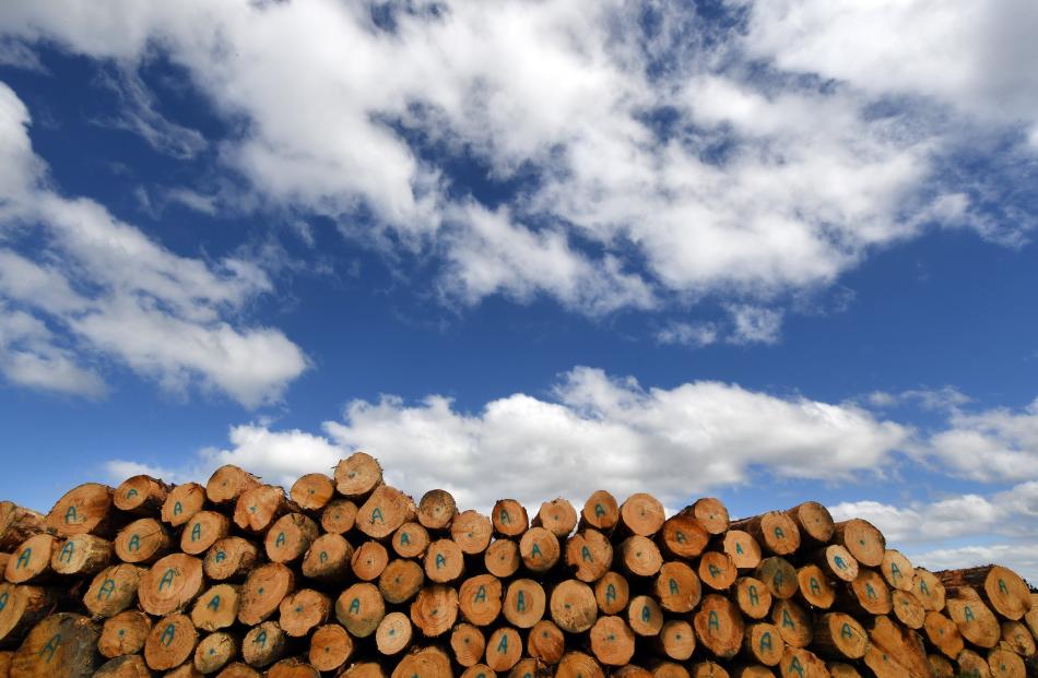 Logs await removal from the property.
