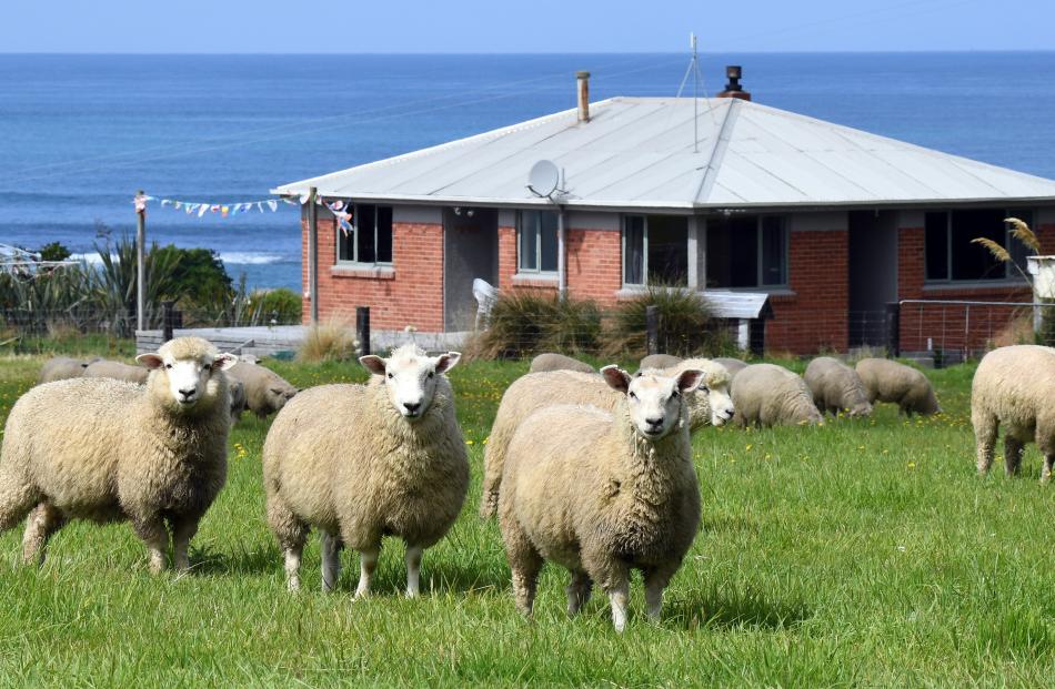 Overseas visitors are flocking to this rental cottage nestled between the farm and the sea.