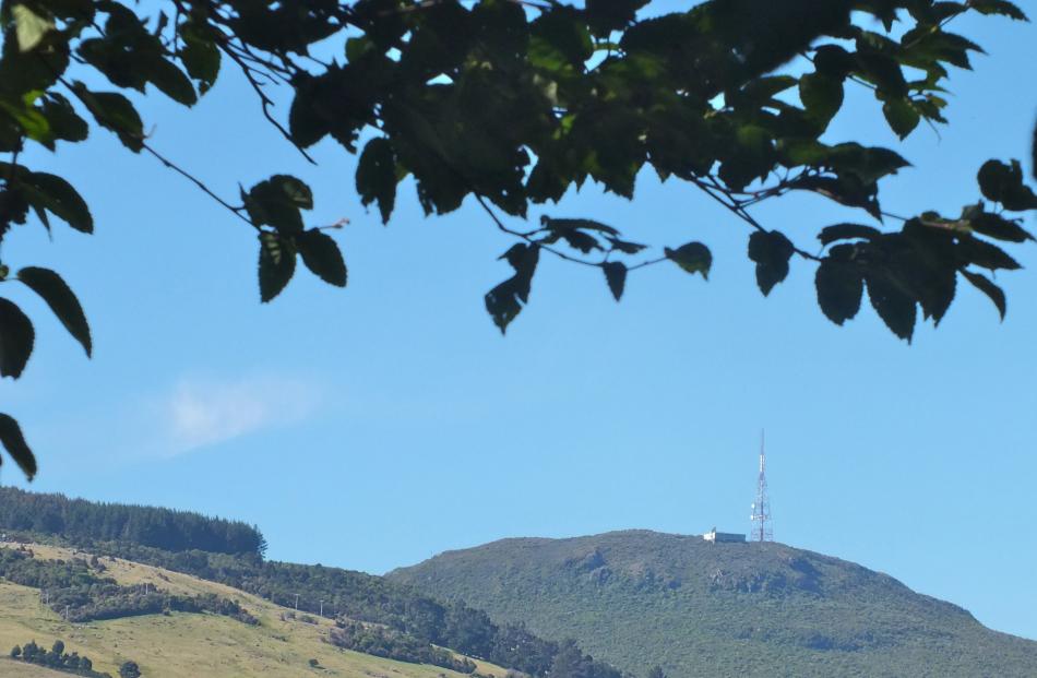The leaves of a birch in  Dunedin Botanic Garden frame a view of Mt Cargill. Photos: Gillian Vine.