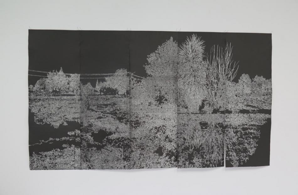 I think this is part of our garden (black), linocut print on cotton paper. 
