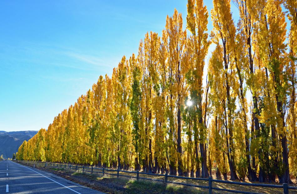 The highway between Cromwell and Queenstown.