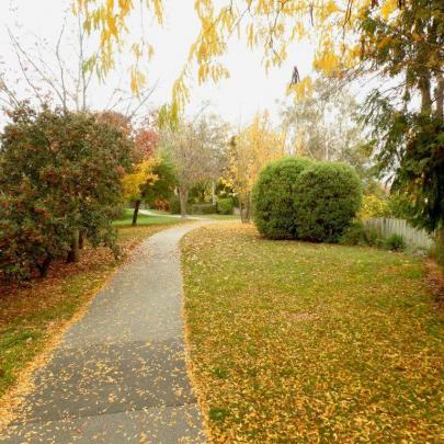 ‘‘This photo was taken on April 27 at the Clyde walkway which follows the path of the original railway line through Clyde. It is a very popular place to walk or cycle,’’ writes Ted Richardson,of Clyde. 