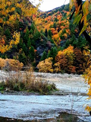 ‘‘Magnificent autumn colour mix across the Arrow River at Arrowtown, taken April 27,’’ writes...