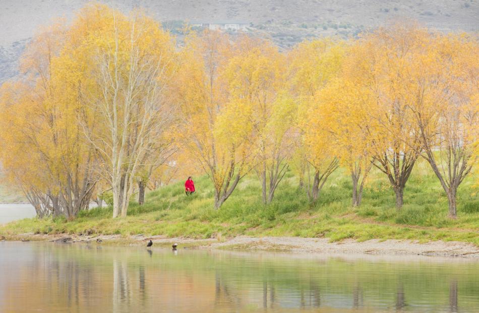 ‘‘Image was taken on Monday, May 1, on the shores of Lake Dunstan in Cromwell. The lady [in red]...