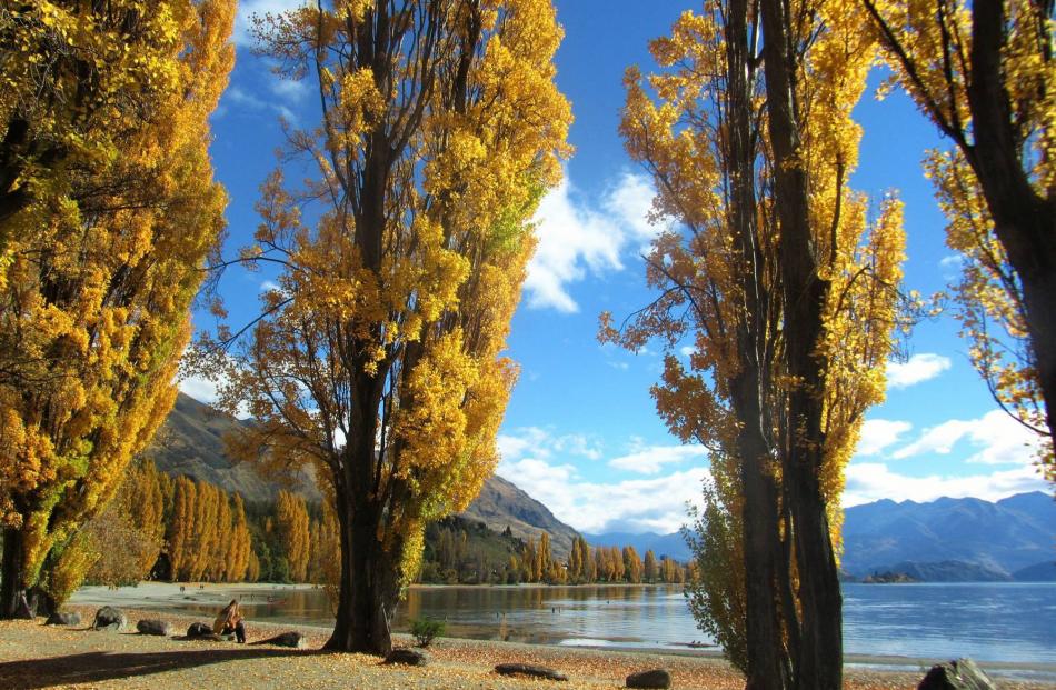 ‘‘Photo was taken April 23 at Lake Wanaka. What a stunning day on the lakefront, the colours are...