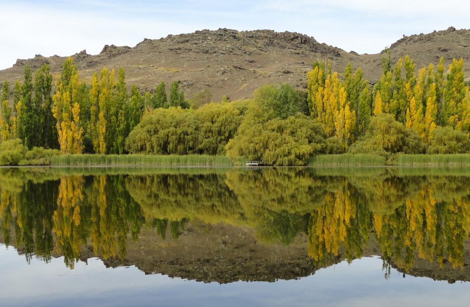 Stephanie Sommers, of Roxburgh, took this photo at Butchers Dam, near Alexandra, on March 28, when the trees were still ‘‘turning’’.