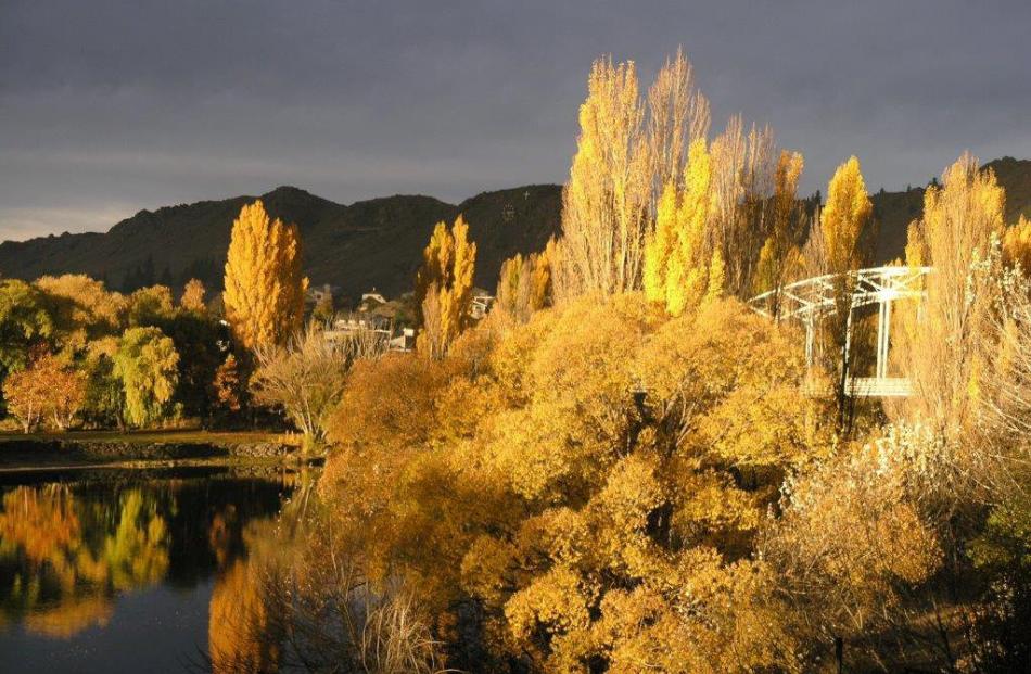 ‘‘Evening sun. This photo was taken on April 27 from our veranda in Alexandra. We had our first...