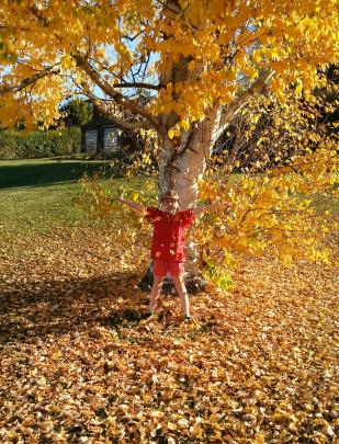 ‘‘Tilly Christian frolicking in the autumn leaves in beautiful Naseby on a crisp sunny day in...