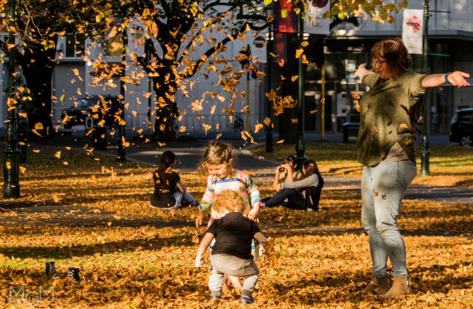 Mother Richelle Hampton and her children Ariana and Rylan play in the leaves on the lawnat Otago...