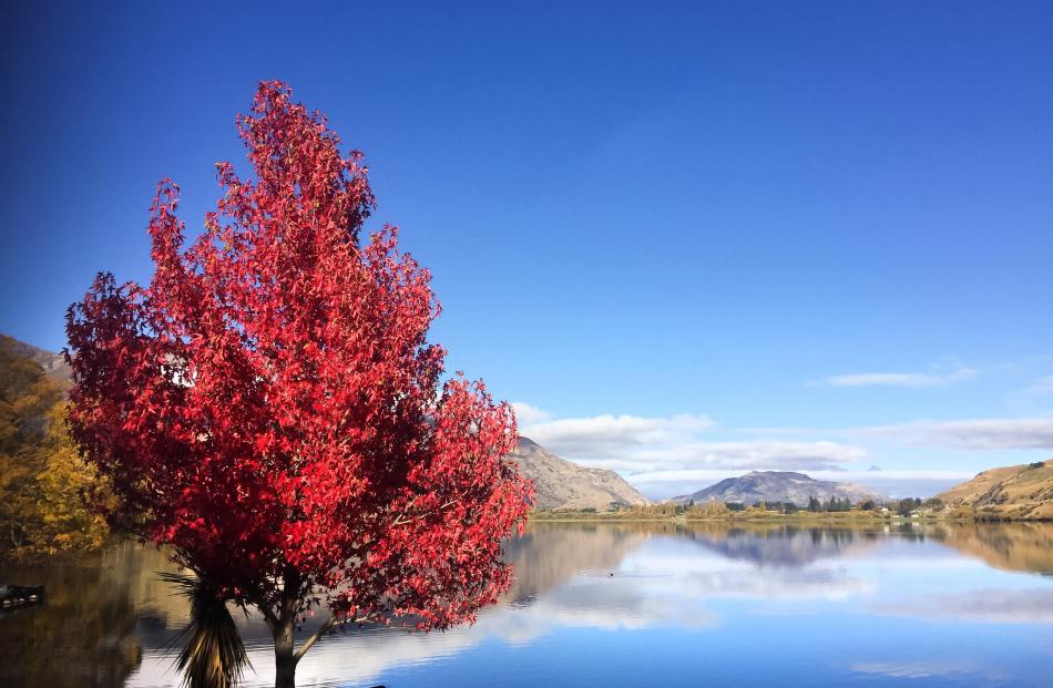 The beauty of Lake Hayes last month. PHOTO: OLIVER BOMBARD, QUEENSTOWN
