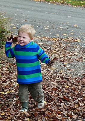 ‘‘My little neighbour, Emerson Wiel, having some fun with the autumn fallen leaves on the...