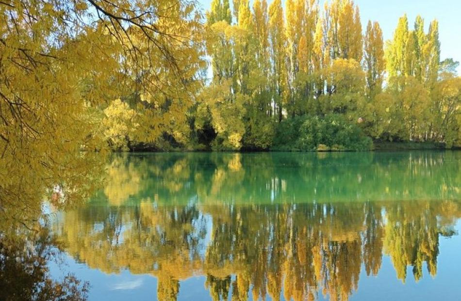 ‘‘Autumn colours are mirrored in the still waters of the Clutha River, almost under the Alexandra bridge, onApril 23,’’ writes Sue Noble-Adams, of Alexandra.