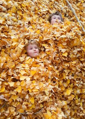 Amy Whelan, of Dunedin, has entered this photo of her sons Mason Abbott (6, left) and Harper...