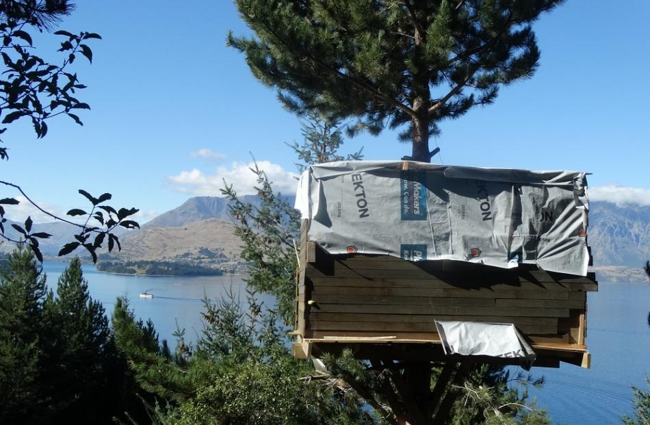 A sly tree hut, constructed in a wilding pine at Arawata Tce,  in Queenstown, pictured last month. Photo: Paul Taylor.