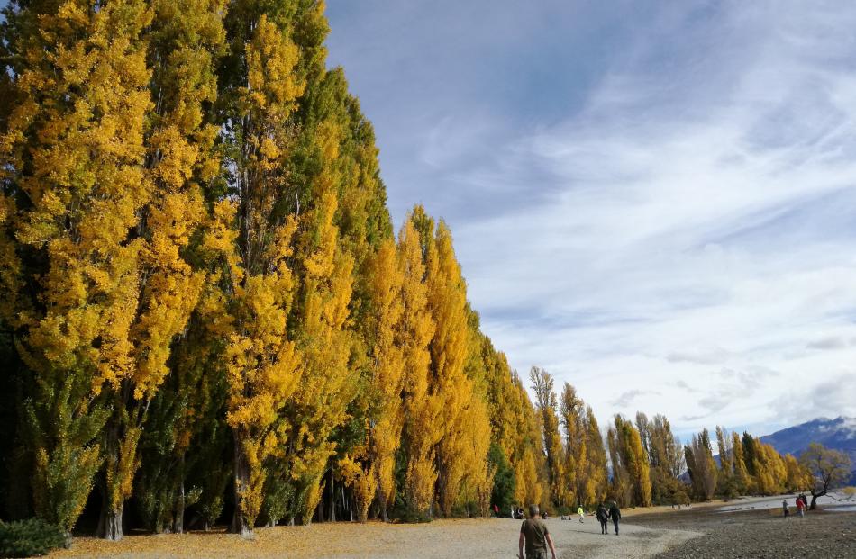 "Taken at Lake Wanaka on April 15,'' writes Cindy Wong, of Arrowtown.