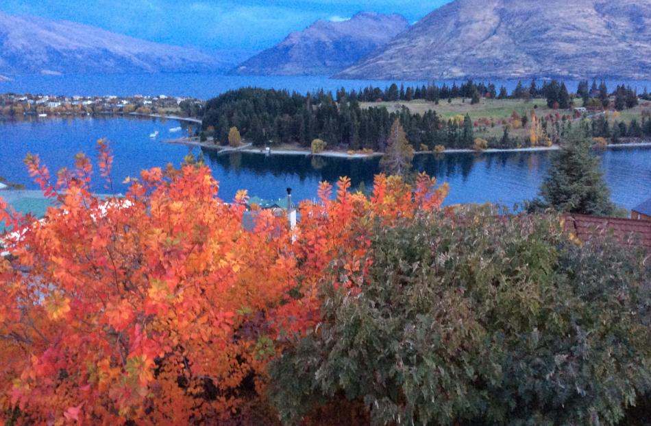 Taken from our home in the late evening on April 28, ``writes Helena Dowling, of Queenstown. 