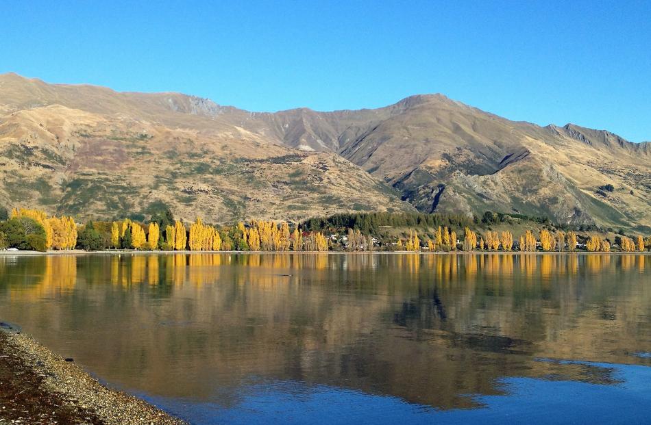 "Beautiful autumn colours on Lake Wanaka on April 23,'' writes Jo Little, of Vauxhall.