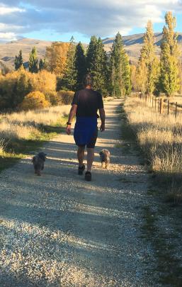 "Graham Stevenson with Bella and Ruby walking on a beautiful, hot autumn day at Otematata on...