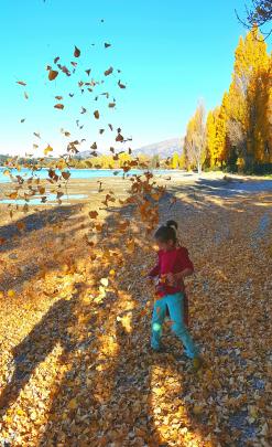 ''Eliza Maze, of Christchurch, enjoys the autumn leaves blowing 
...